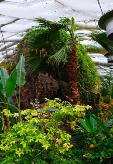 Konya Çatalhöyük Sille Turu