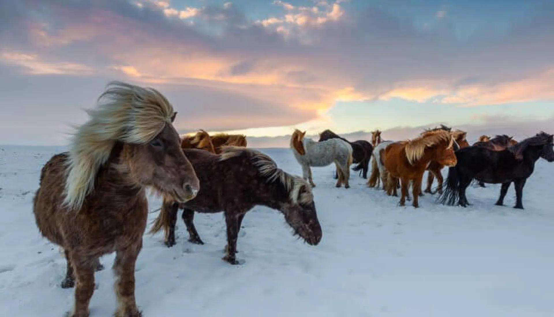 İzlanda Turu 1 : Golden Circle