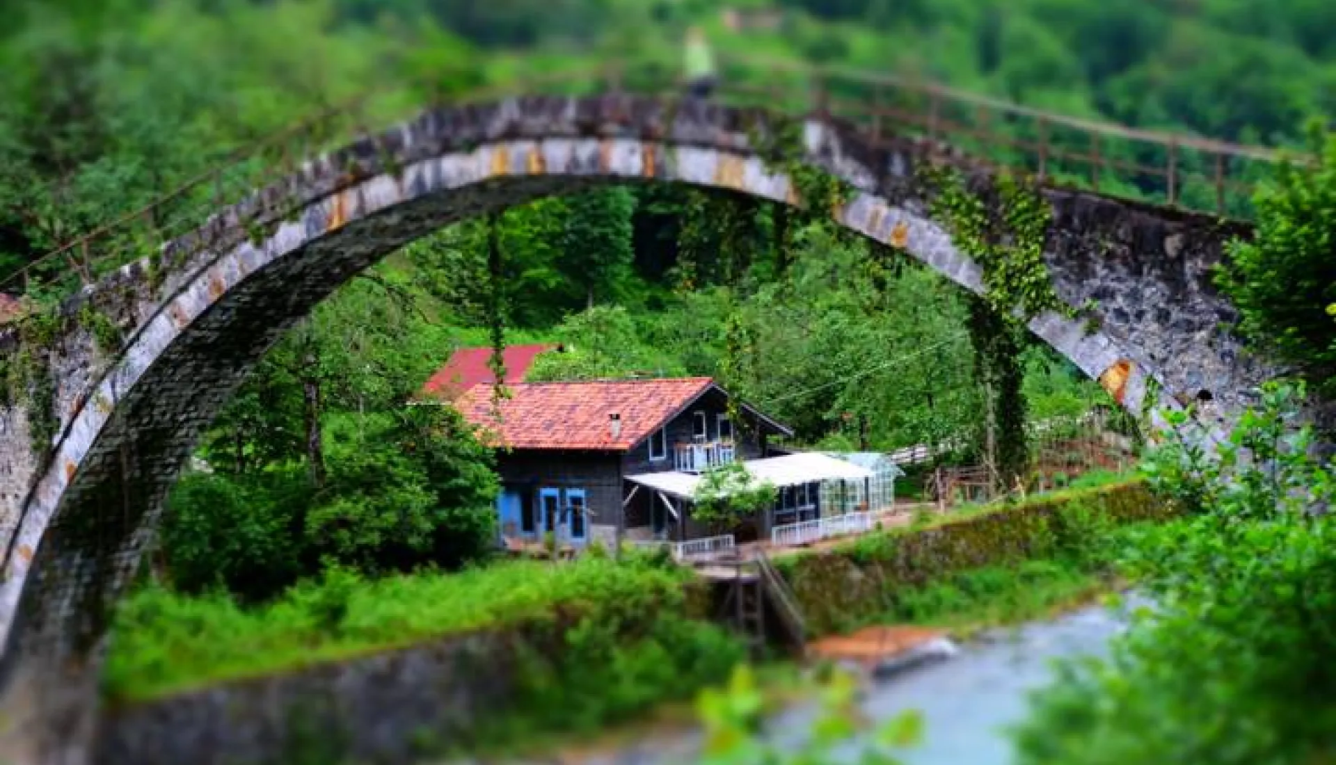 Tüm Doğu Karadeniz ve Gürcistan Turu