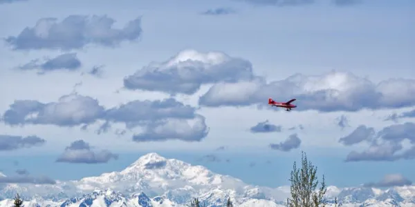 Alaska Cruıse & Denalı Milli Parkı