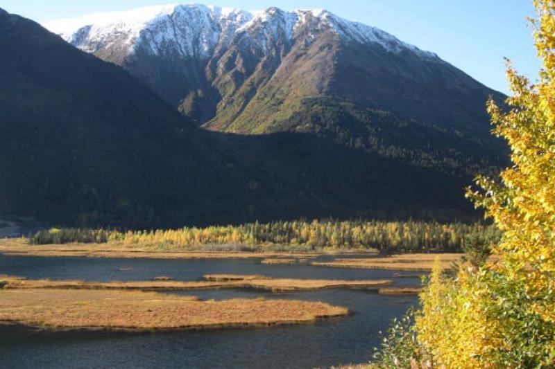 Mt. Mckinley Wlderness Lodge