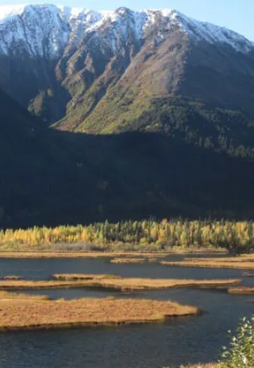 Croisière en Alaska et Parc national de Denali