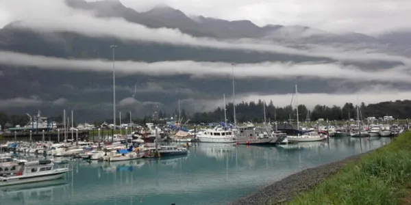 Alaska Cruıse & Denalı Milli Parkı