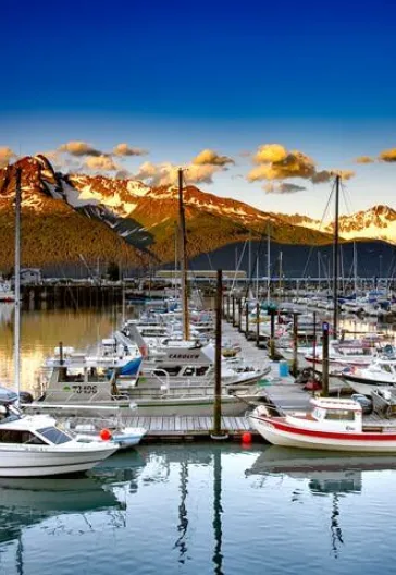 Croisière en Alaska et Parc national de Denali