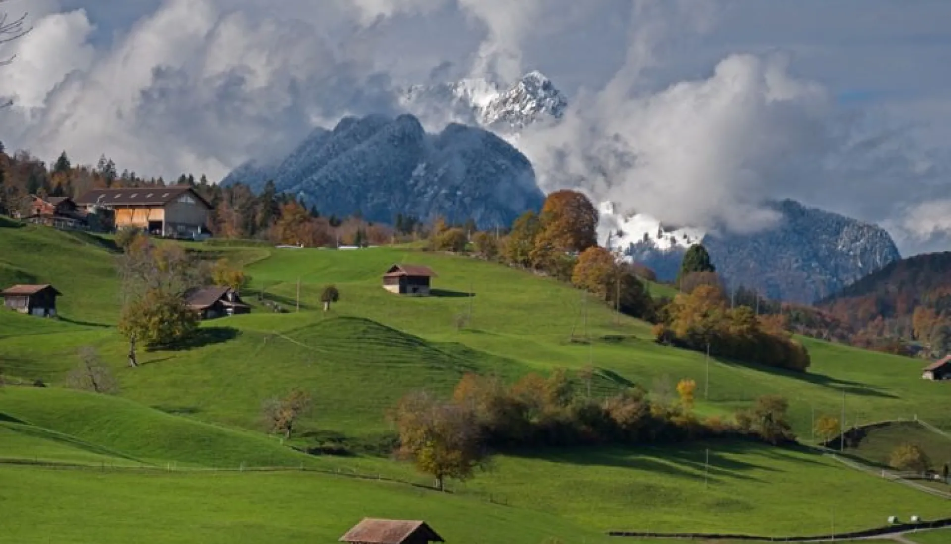 Yeni Zelanda