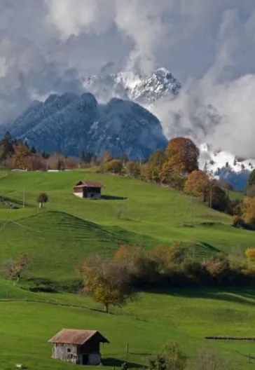 Yeni Zelanda