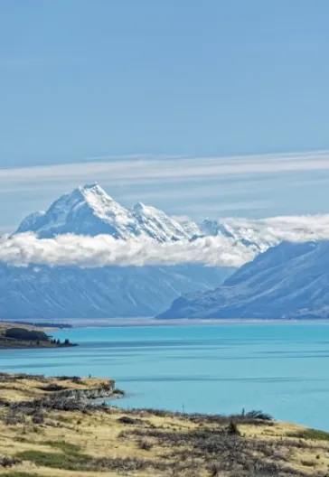 Yeni Zelanda