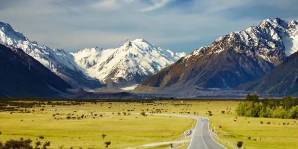 Yeni Zelanda