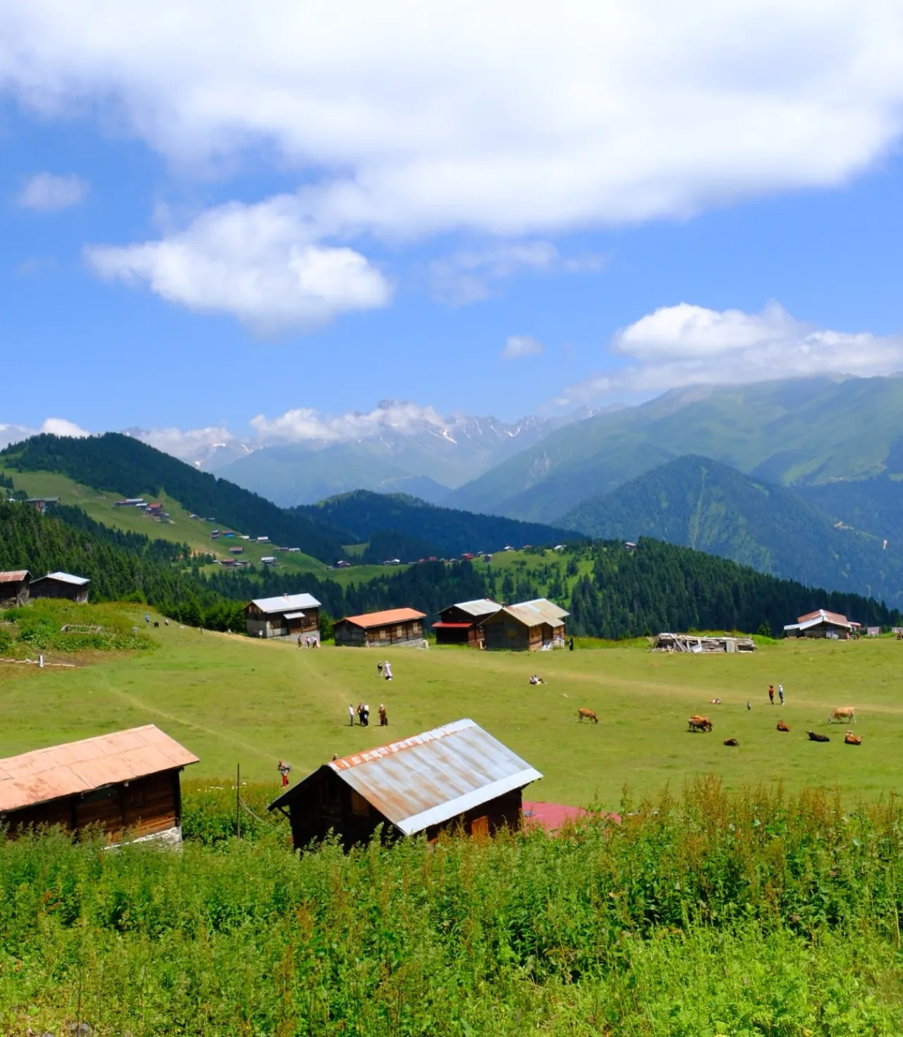 Doğu Karadeniz Yaylaları