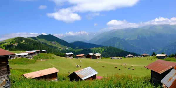 Doğu Karadeniz Yaylaları
