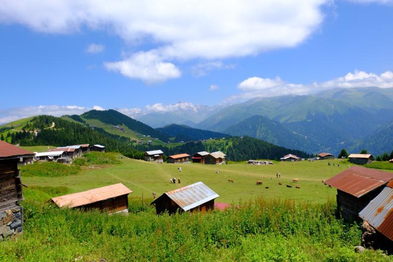 Sal Yaylası, Pokut Yaylası, Hazindak Yaylası, Amlakit Yaylası