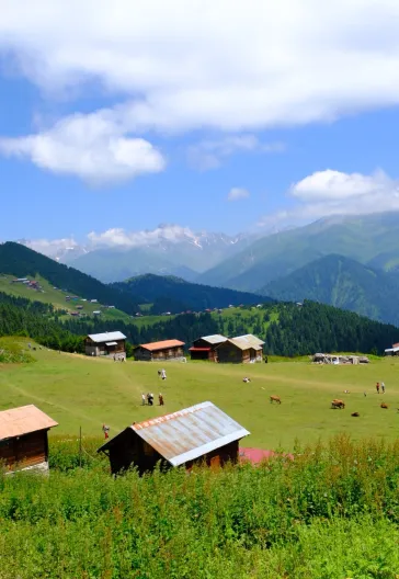 Eastern Black Sea Highlands