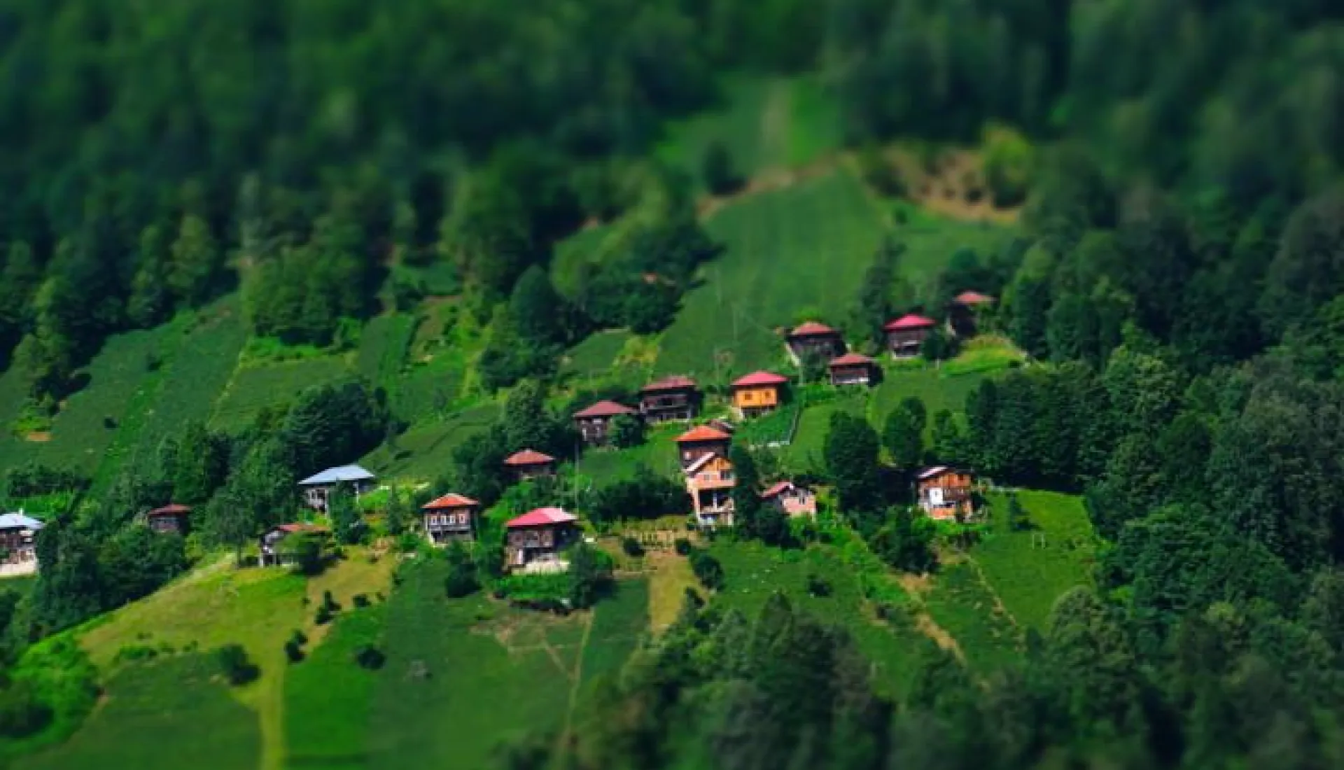 Tüm Doğu Karadeniz ve Gürcistan Turu