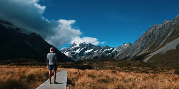 Yeni Zelanda