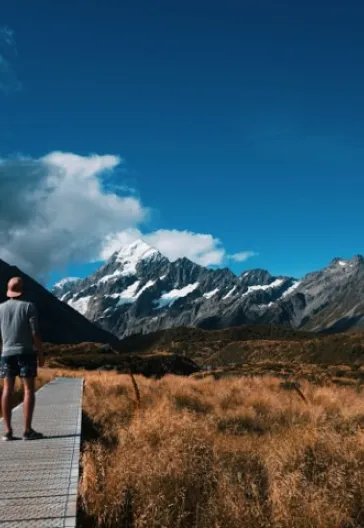 Yeni Zelanda