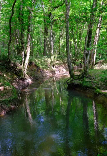 Trakya Gırnata Turu