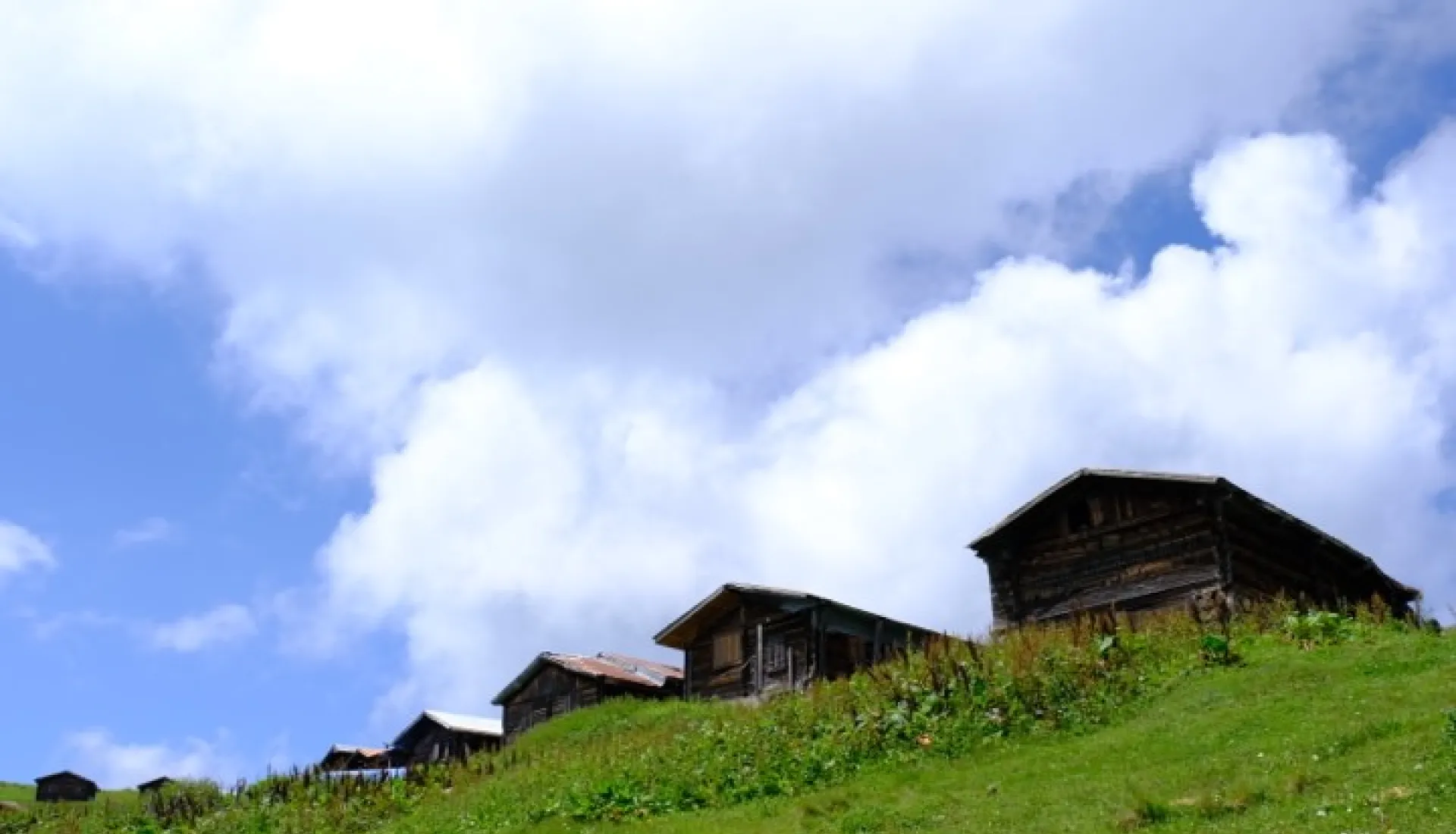 Tüm Doğu Karadeniz ve Gürcistan Turu