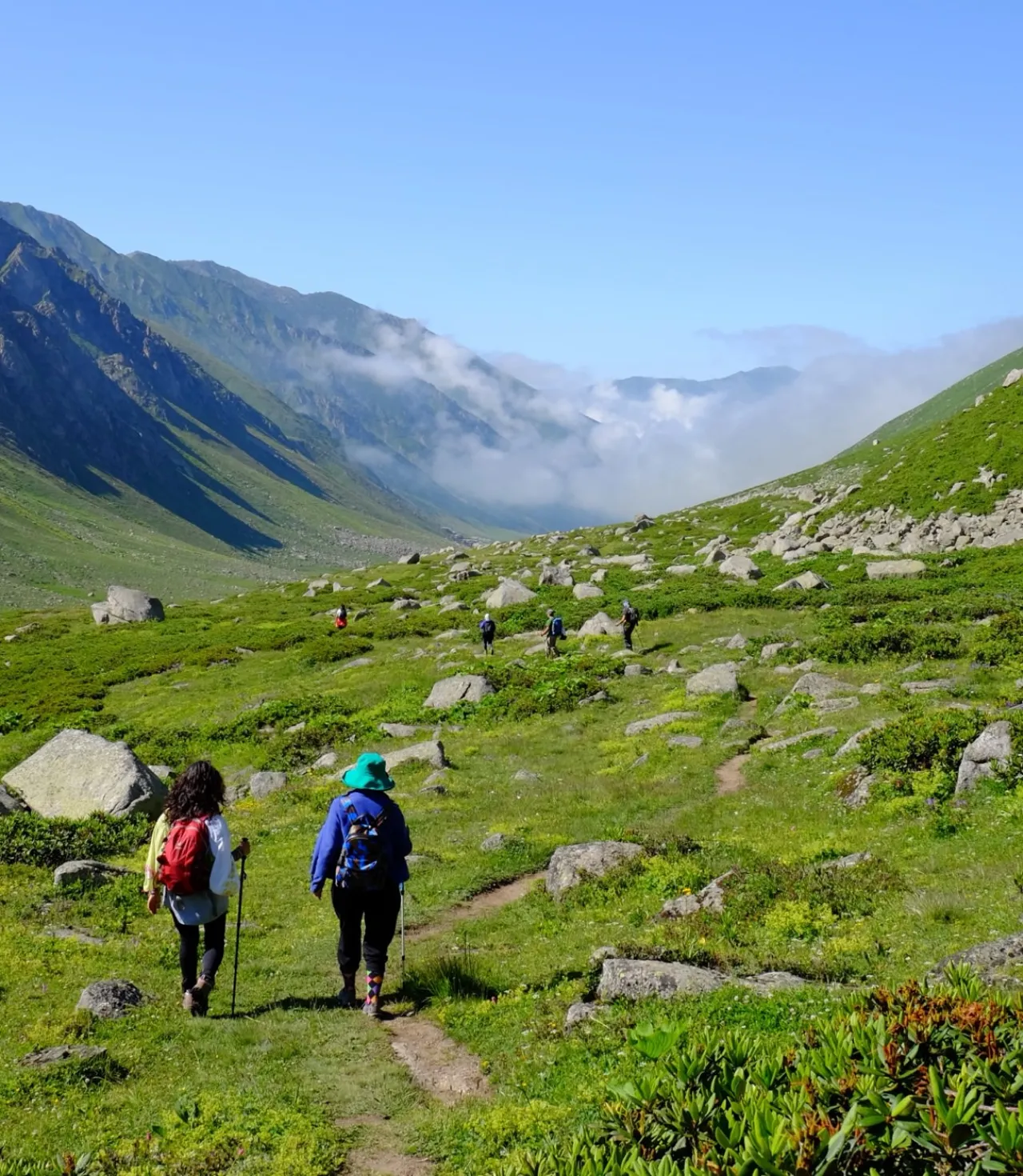 Doğu Karadeniz Yaylaları