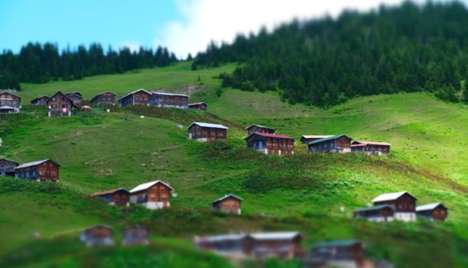 Tüm Doğu Karadeniz ve Gürcistan Turu
