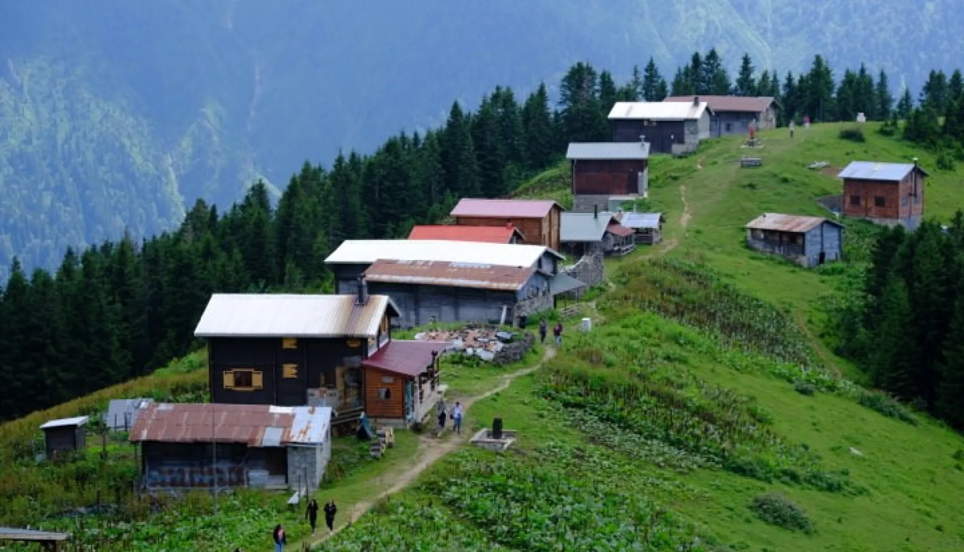 Tüm Doğu Karadeniz ve Gürcistan Turu