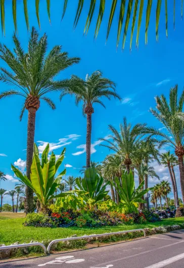 Fransa Turu 2: Côte d’Azur