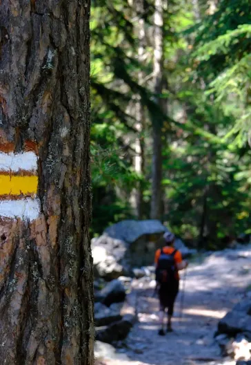 Premium Gürcistan - Svaneti - Mestia - Batum Turu