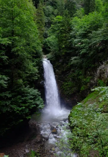 Eastern Black Sea Highlands