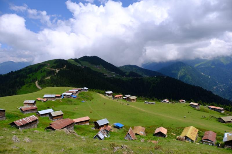 Doğu Karadeniz Yaylaları
