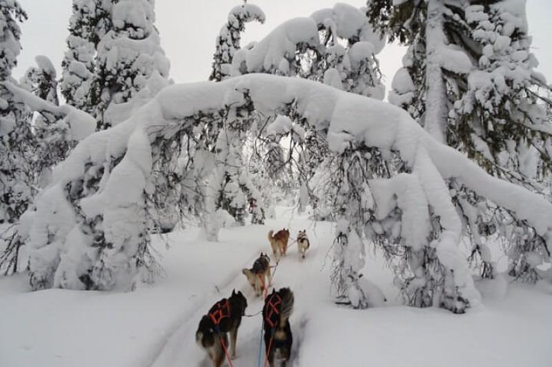Kar Motosikleti(Snowmobıle), Buz Bal��kçılığı