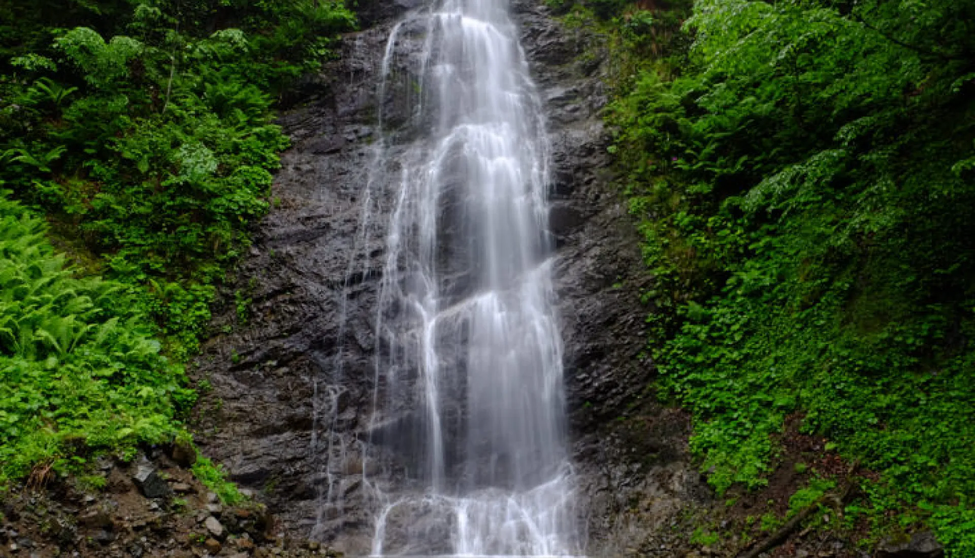 Doğu Karadeniz Yaylaları