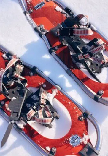 Финляндия – тур по Лапландии и северным сияниям