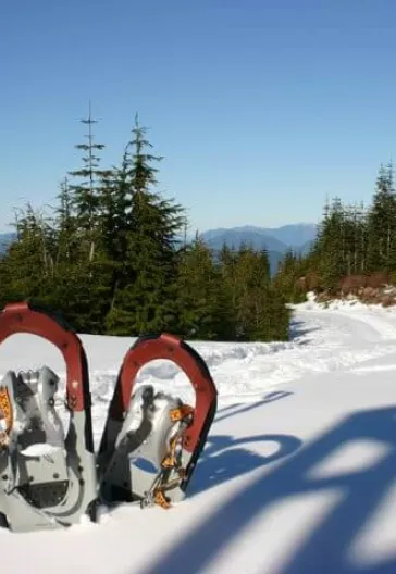 Финляндия – тур по Лапландии и северным сияниям