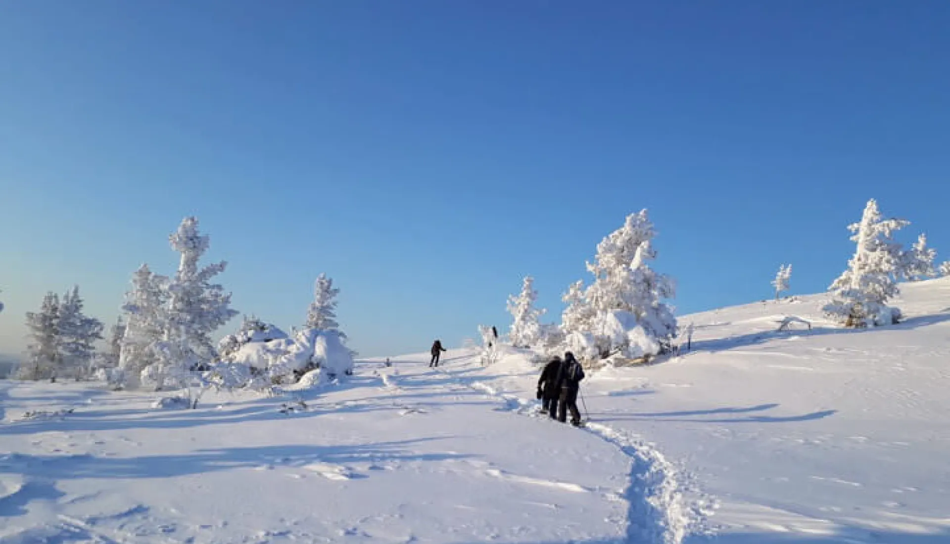Finlandiya - Lapland Kuzey Işıkları Turu