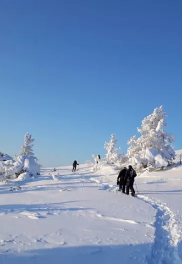 Финляндия – тур по Лапландии и северным сияниям