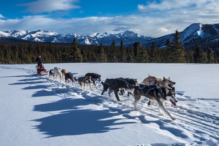 Finlandiya - Lapland Kuzey Işıkları Turu