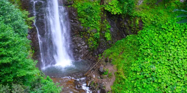 Doğu Karadeniz Yaylaları