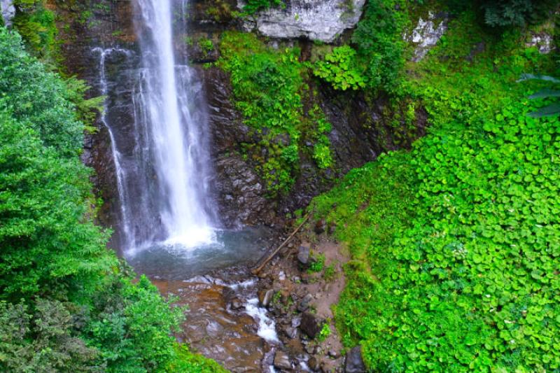 Doğu Karadeniz Yaylaları