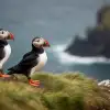 İzlanda: Doğanın Şaheseri.