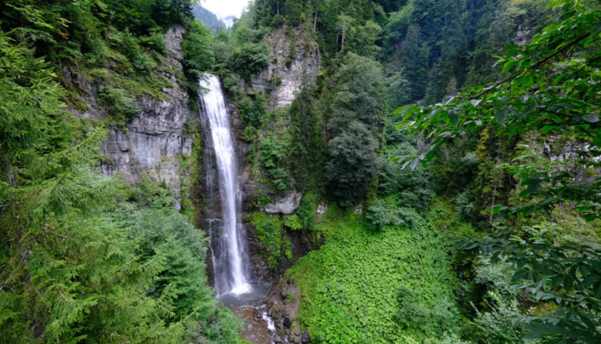 Doğu Karadeniz Yaylaları