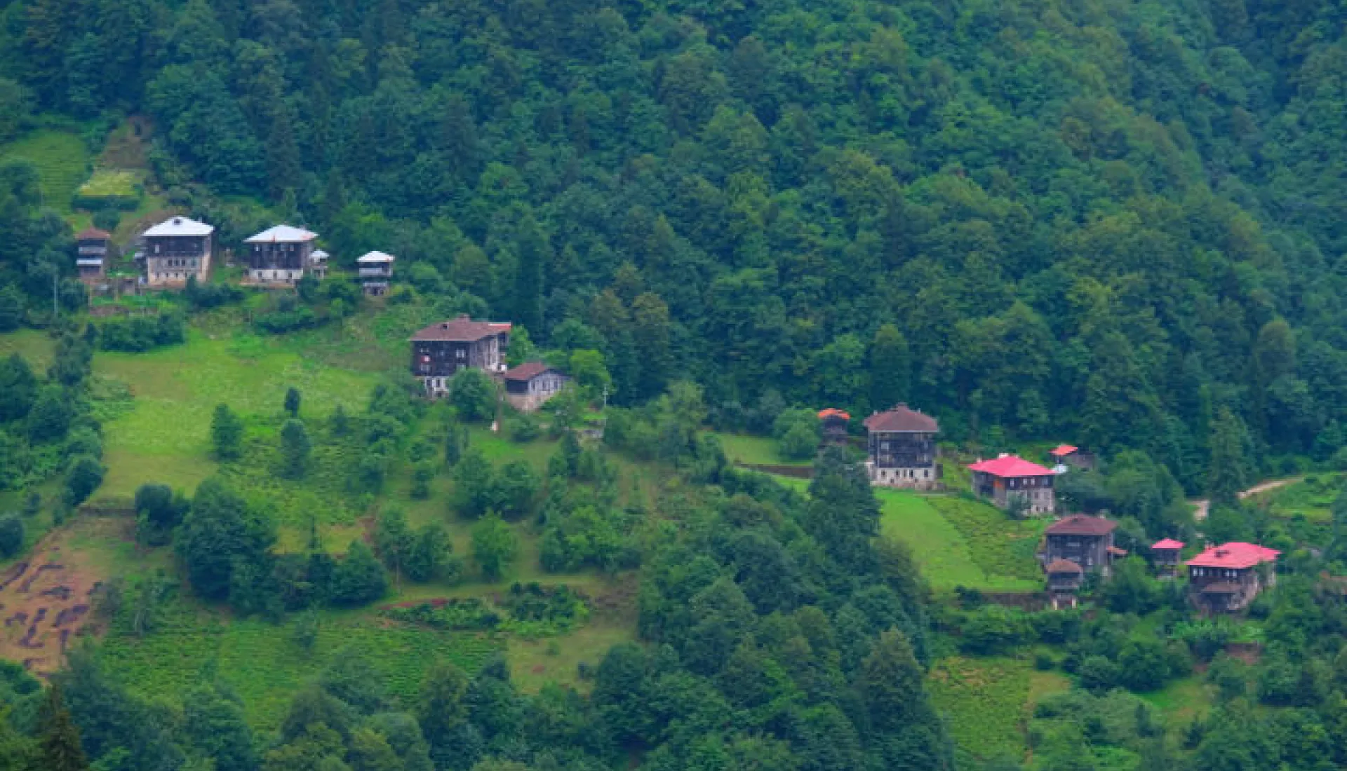 Doğu Karadeniz Yaylaları