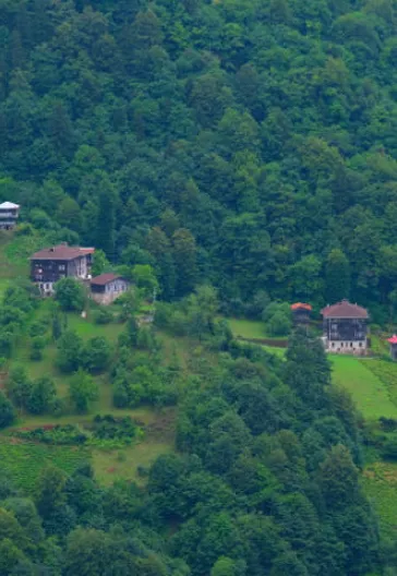 Eastern Black Sea Highlands