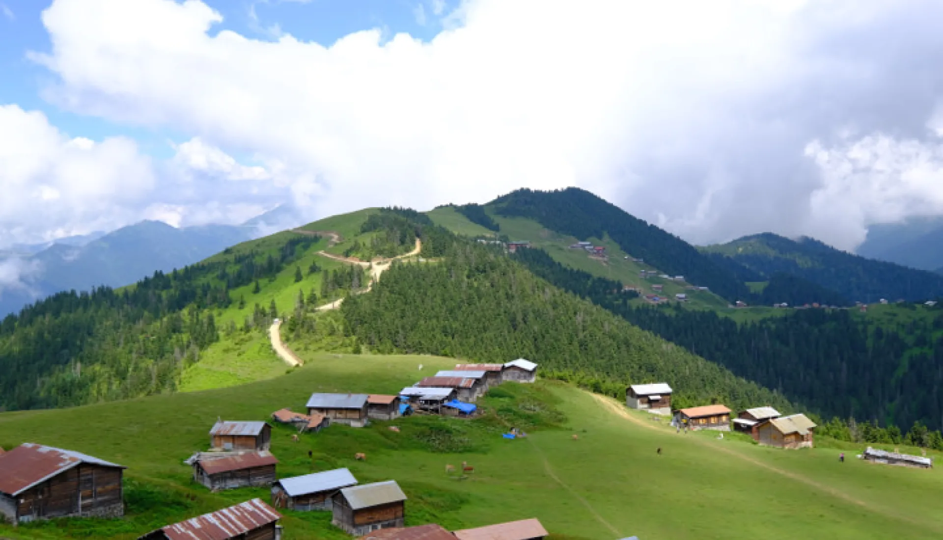 Doğu Karadeniz Yaylaları