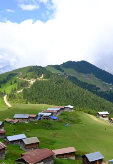 Eastern Black Sea Highlands