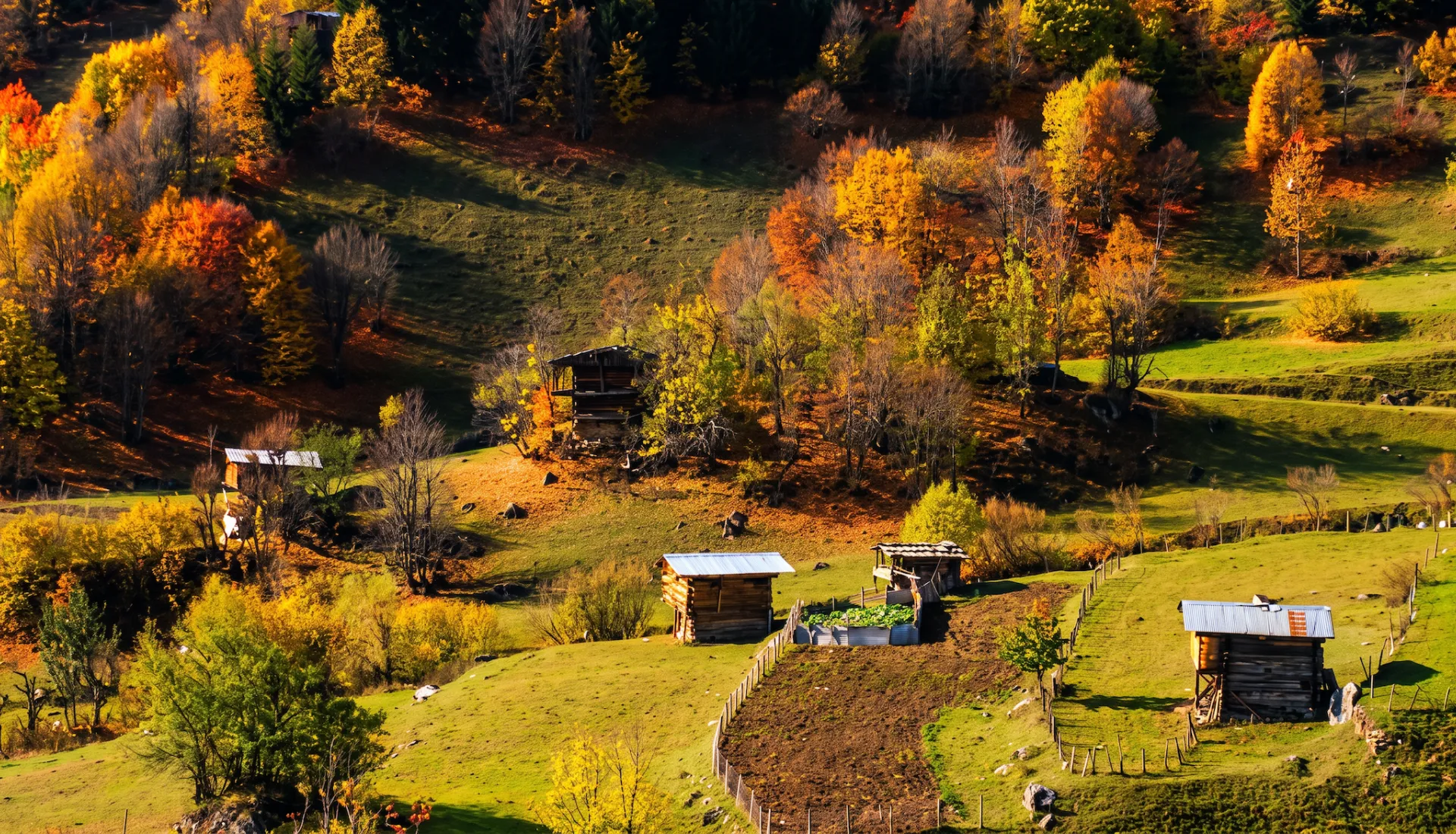 Macahel · Şavşat · Karagöl | Karadeniz Sonbahar Turu