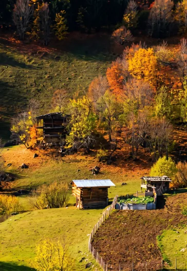 Macahel · Şavşat · Karagöl | Karadeniz Sonbahar Turu