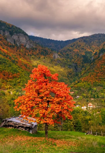 Macahel · Şavşat · Karagöl | Karadeniz Sonbahar Turu