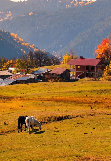Macahel · Şavşat · Karagöl | Karadeniz Sonbahar Turu
