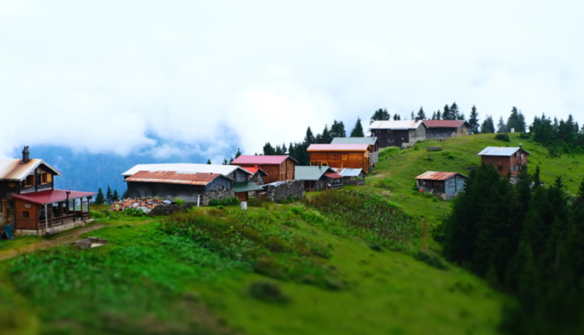 Doğu Karadeniz Yaylaları