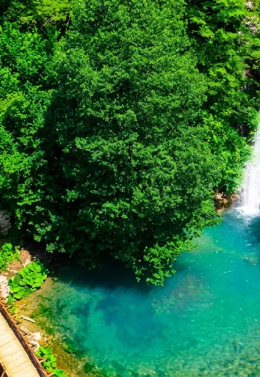 Sinop · Samsun · Kastamonu Turu | Erfelek · Hamsilos · İnceburun