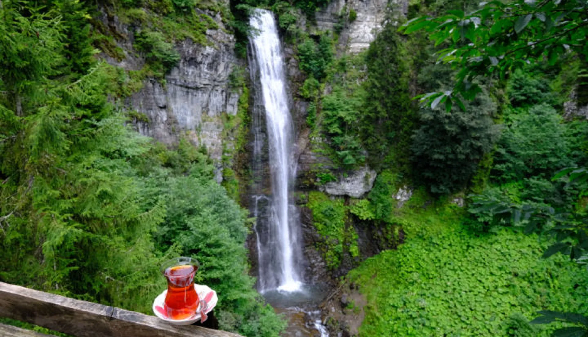 Doğu Karadeniz Yaylaları